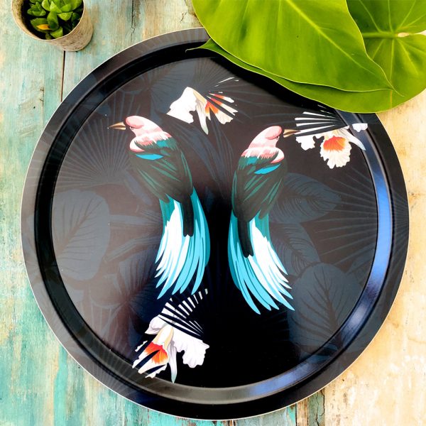 Plateau birds rose