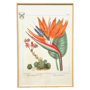 Affiche Paradis 40x60 cm