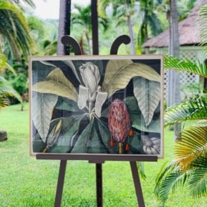 Affiche Jardin Balata 60x80 cm
