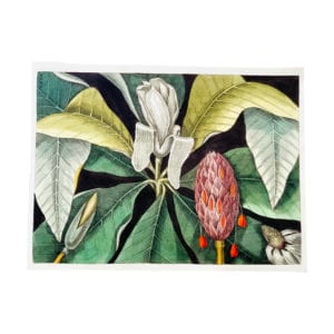 Affiche Jardin de Balata - 3 formats