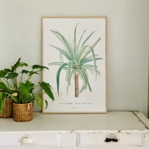 Affiche Marginalis 40x60 cm