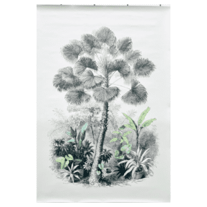 Affiche Latanier - 3 tailles