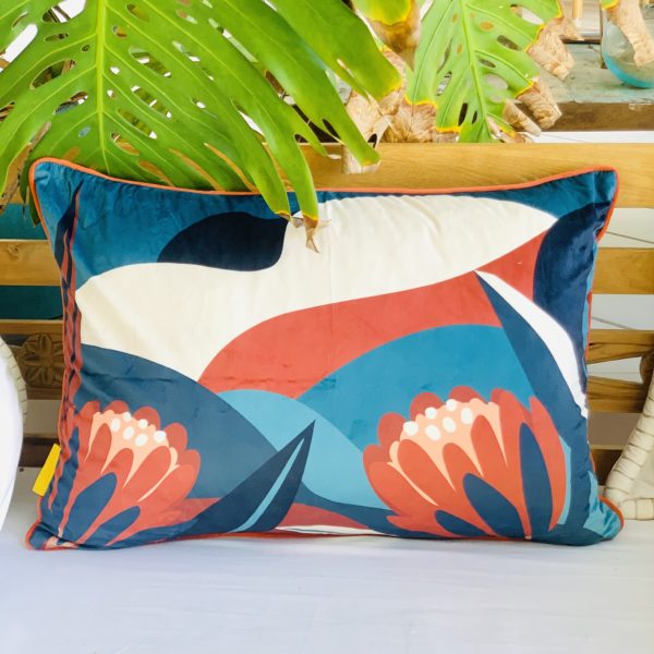 HOUVELPROTEA50