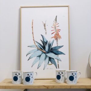 Affiche Aloe Serra 40x60 cm