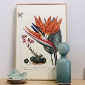 Affiche Paradis 40x60 cm