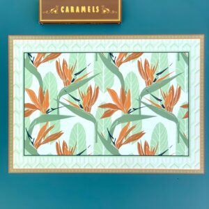 Set de table Vinyle Strelitzia