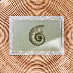Set de table Vinyle Maora - Nautile