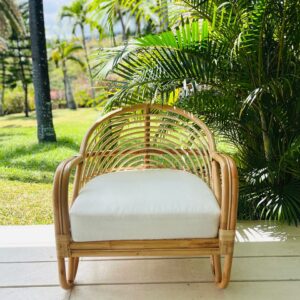 Fauteuil Speedy