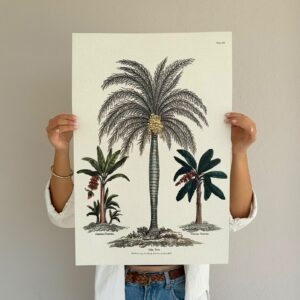 Affiche Jamaica 40x60 cm