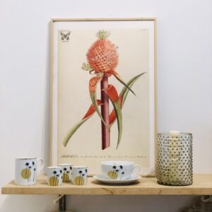 Affiche Ananas 40x60 cm