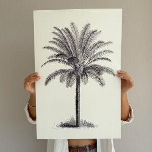 Affiche Dattier 40x60 cm