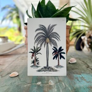 Carte postale Jamaica